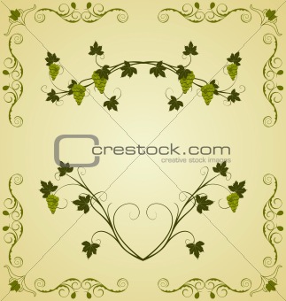 Illustration the grape twig ornate