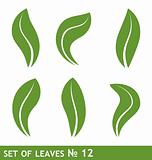 Illustration of leaves set for design