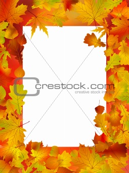 Thanksgiving Fall Autumn Background