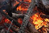 Burning firewoods