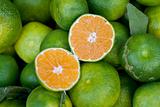 Green tangerines