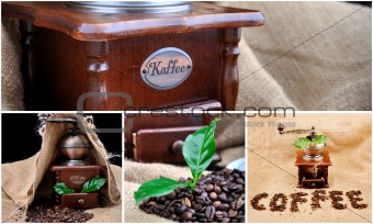 collage vintage coffee grinder, sign coffe from coffee granules and coffee plant