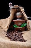 vintage coffee grinder and coffe plant in granules