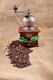 vintage coffee grinder and coffe plant in granules