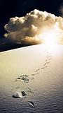 Footprints in desert White Sands New Mexico