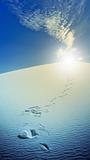 Footprints in desert White Sands New Mexico