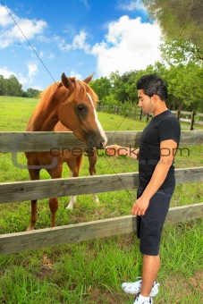 Man feeding a horse in a paddock
