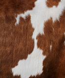 Cow texture