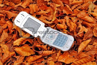 Mobile phone lying over fallen leaves