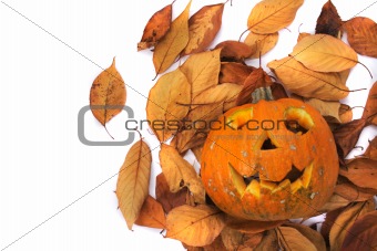 halloween decoration