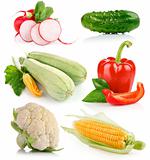set fresh vegetable with green leaf