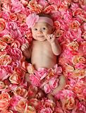 Baby lying in bed of roses