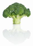 Broccoli with reflection