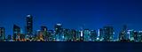 Miami skyline night panorama