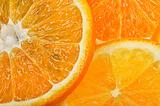 Orange and grapefruit slices