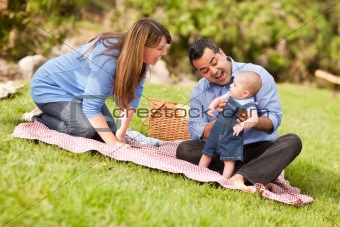 Happy Mixed Race Family Having a Picnic and Playing In The Park.