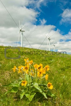 wind turbines with flowers