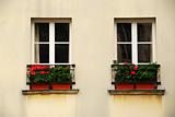 Windows with planters