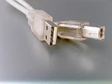 Close up of USB computer cord