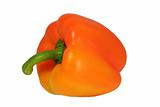 Isolated orange bell pepper