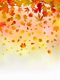 Bright leaves of autumn card.
