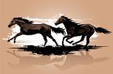 wild horses running 