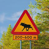 Moose Warning Traffic Sign