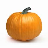 Pumpkin Isolated on White.
