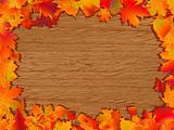 Autumn background with colored leaves.