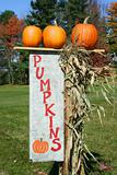 Pumpkins with sign