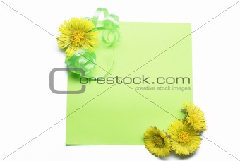 Blank note with flowers