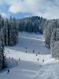 Snow covered ski piste with many skiers surrounded by trees on 
