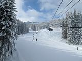Ski piste and chair lift with snow covered trees