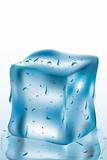 ice cube 2