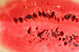 watermelon closeup