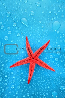 Starfish on blue background with water drops