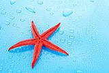 Starfish on blue background with water drops