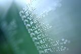 plain braille page abstract