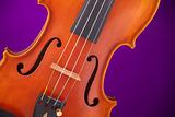 Viola Violin Isolated on Purple