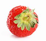 Strawberry closeup isolated on white
