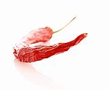 Red chilly pepper isolated on white