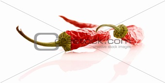 Two red chilly pepper isolated on white
