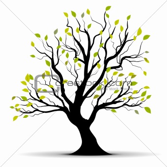 vector tree with green foliage in summer