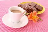 Chocolate cookie and cup of coffee on red background