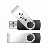 Vector model Flash USB for your logo