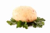 Potato on green salad isolated on white
