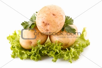 Potatoes with green salad isolated on white