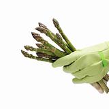 hand holding asparagus