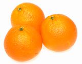 three oranges on white background
