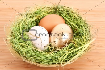 Brown,white and golden hen's egg in the grassy nest on the woode